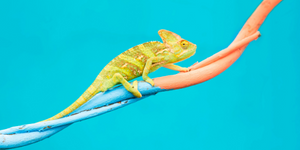 cx_trends_retail_spring_2021